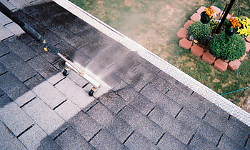 Roof Cleaning in Philadelphia PA Roof Cleaning Services in Philadelphia PA Roof Cleaning in PA Philadelphia Clean the roof in Philadelphia PA Roof Cleaner in Philadelphia PA Roof Cleaner in PA Philadelphia Quality Roof Cleaning in Philadelphia PA Quality Roof Cleaning in PA Philadelphia Professional Roof Cleaning in Philadelphia PA Professional Roof Cleaning in PA Philadelphia Roof Services in Philadelphia PA Roof Services in PA Philadelphia Roofing in Philadelphia PA Roofing in PA Philadelphia Clean the roof in Philadelphia PA Cheap Roof Cleaning in Philadelphia PA Cheap Roof Cleaning in PA Philadelphia Estimates on Roof Cleaning in Philadelphia PA Estimates in Roof Cleaning in PA Philadelphia Free Estimates in Roof Cleaning in Philadelphia PA Free Estimates in Roof Cleaning in PA Philadelphia